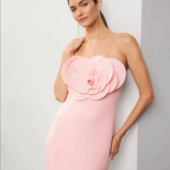 open lace back dress Zya Light Pink Satin Maxi Dress - US 6 main image 1